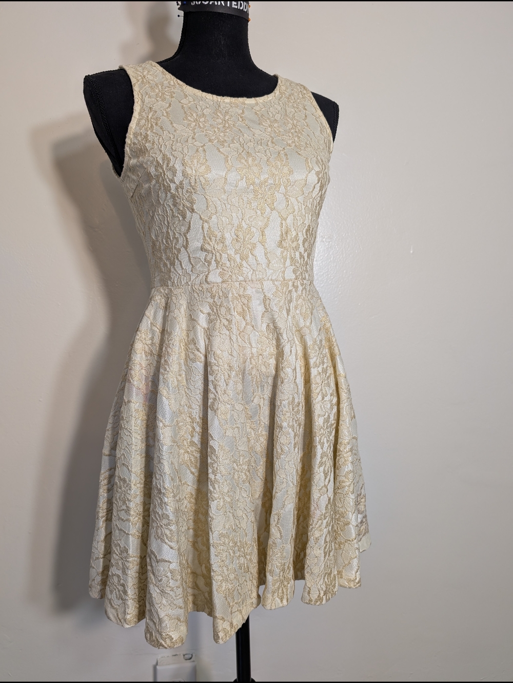 Sleeveless Lace Fit & Flare Dress in Ivory